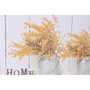 DKD Home Decor Cuadro Lienzo Pino 60x30 Macetas Surtido de 2