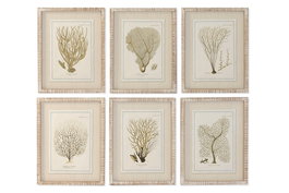 DKD Home Decor Cuadro Cristal Abeto 35x2,5x45 Coral Surtido de 6 unidades