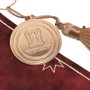WIDDOP & CO Banderín colgante Gryffindor Harry Potter