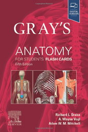 ELSEVIER UK Gray's Anatomy for Students Flash Cards