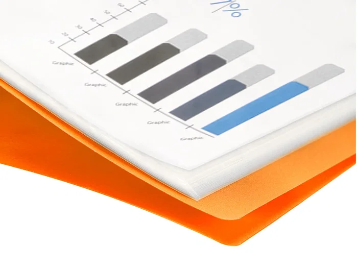 Liderpapel Carpeta con 10 Fundas Polipropileno Traslúcida Naranja Frosty Din A4