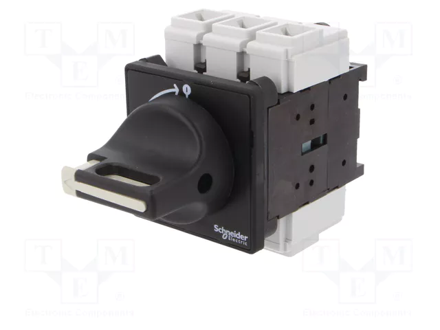 SCHNEIDER ELECTRIC TeSys VARIO Seccionador Principal de Seguridad 3 Polos 63A