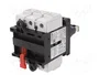 SCHNEIDER ELECTRIC TeSys VARIO Seccionador Principal de Seguridad 3 Polos 63A