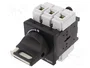 SCHNEIDER ELECTRIC TeSys VARIO Seccionador Principal de Seguridad 3 Polos 63A