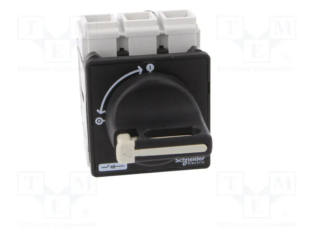 SCHNEIDER ELECTRIC TeSys VARIO Seccionador Principal de Seguridad 3 Polos 63A