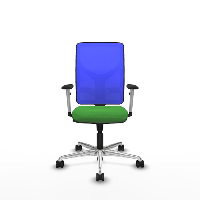 PIQUERAS Y CRESPO Silla de oficina Motilla con Mecanismo Sincro, Tela Verde y Malla Azul PIQUERAS Y CRESPO Silla de oficina Motilla con Mecanismo Sincro, Tela Verde y Malla Azul