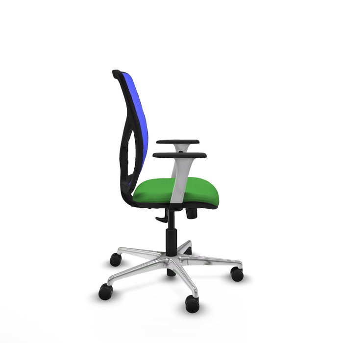PIQUERAS Y CRESPO Silla de oficina Motilla con Mecanismo Sincro, Tela Verde y Malla Azul PIQUERAS Y CRESPO Silla de oficina Motilla con Mecanismo Sincro, Tela Verde y Malla Azul