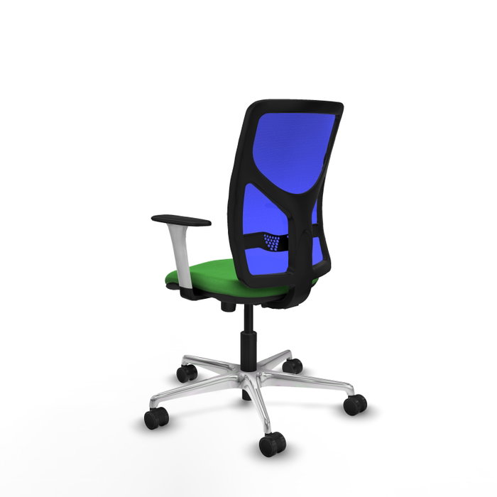 PIQUERAS Y CRESPO Silla de oficina Motilla con Mecanismo Sincro, Tela Verde y Malla Azul PIQUERAS Y CRESPO Silla de oficina Motilla con Mecanismo Sincro, Tela Verde y Malla Azul