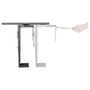 Equip Soporte Giratorio 360° para CPU bajo Mesa, Acero, Color Negro, Soporta hasta 10 kgs, 650892