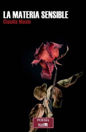 RASPABOOK, La materia sensible, Claudia Masin - RASPABOOK