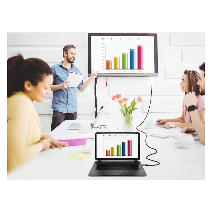 EQUIP 119283 Cable DisplayPort 2.1 Premium 3m 16K/60Hz Alum. Plata