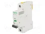 SCHNEIDER ELECTRIC ACTI9 iC60N 1A 1P Característica C