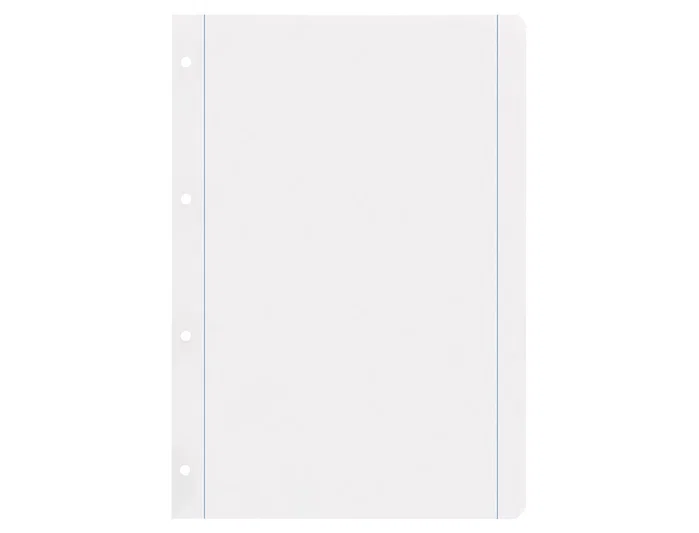 Liderpapel Recambio A4 100 hojas 100g liso con doble margen y 4 taladros Liderpapel Recambio A4 100 hojas 100g liso con doble margen y 4 taladros