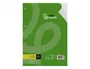Liderpapel Recambio A4 100 hojas 100g liso con doble margen y 4 taladros