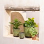 Ixia Macetero Pistacho Cerámica Decoración 11,50 x 11,50 x 11 cm