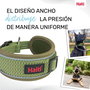 Collar para Perro Company of Animals Verde