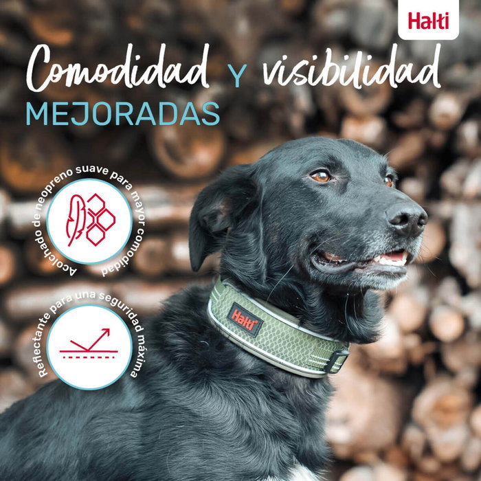 Collar para Perro Company of Animals Verde