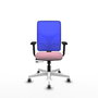 PIQUERAS Y CRESPO Silla de oficina Motilla Rosa y Azul