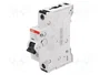 ABB S300P Interruptor magnetotérmico 1 Polo 6A Caract C