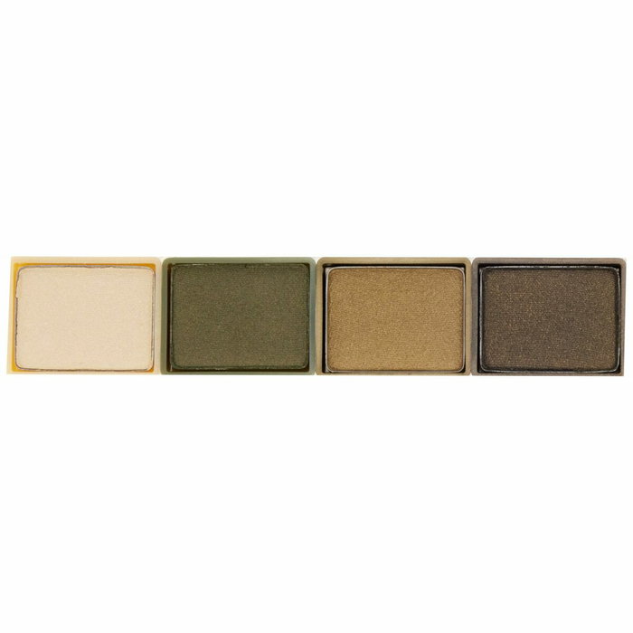 Clinique All About Shadow Quad 05-on safari