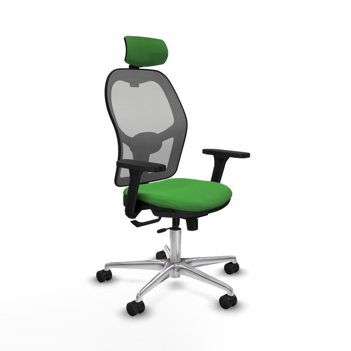 PIQUERAS Y CRESPO Silla de oficina Jorquera con mecanismo Sincro/Traslack, Verde y Gris PIQUERAS Y CRESPO Silla de oficina Jorquera con mecanismo Sincro/Traslack, Verde y Gris