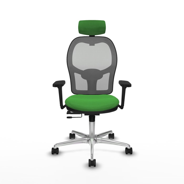 PIQUERAS Y CRESPO Silla de oficina Jorquera con mecanismo Sincro/Traslack, Verde y Gris PIQUERAS Y CRESPO Silla de oficina Jorquera con mecanismo Sincro/Traslack, Verde y Gris