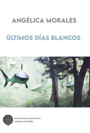 CUADERNOS DEL LABERINTO, Ultimos dias blancos - Anaquel de Poesia