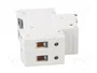 SIEMENS 5SL4204-6 Interruptor magnetotérmico 4A 2P 10kA