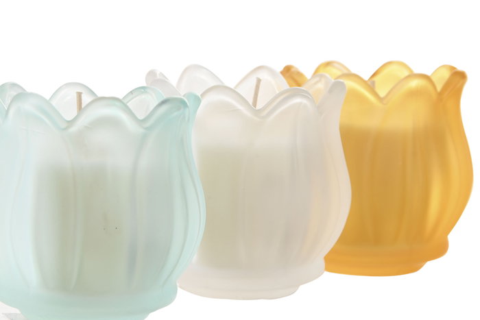 DKD Home Decor Vela de Cera de Parafina y Cristal con Diseño de Flor, Surtido