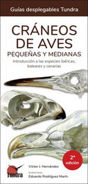 TUNDRA, CRANEOS DE AVES PEQUEÑAS Y MEDIANAS 2 EDICION - VICTOR J HERNANDEZ