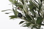 DKD Home Decor Árbol de Olivo Artificial Verde y Marrón 80x80x180 cm