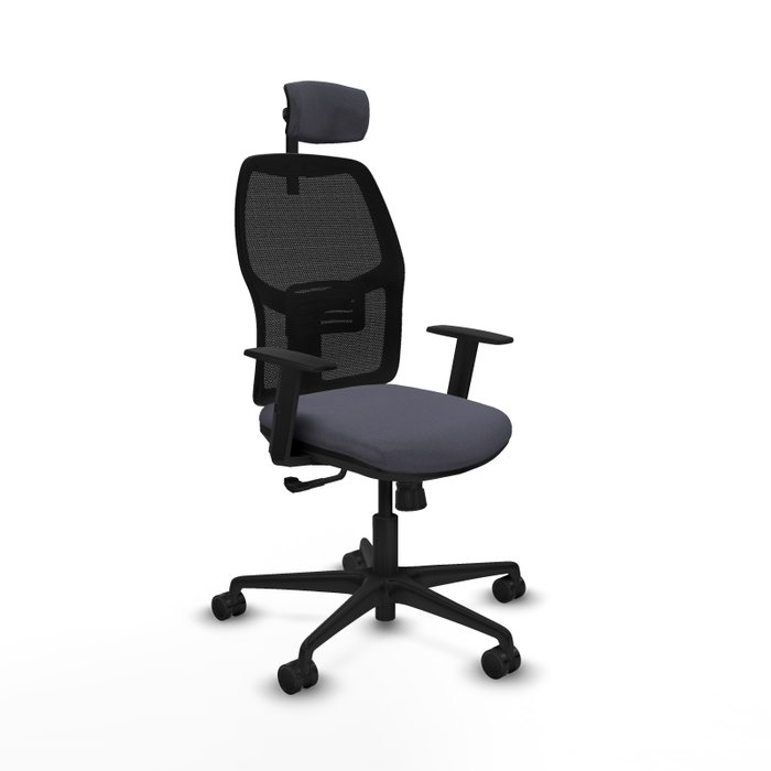 Silla de oficina Alfera con mecanismo Sincro tapizada con Tela color Gris oscuro y malla color Negro. Equipada con lumbar 1D, Brazos 1D, Cabecero 2D y Ruedas 65mm nailon Silla de oficina Alfera con mecanismo Sincro tapizada con Tela color Gris oscuro y malla color Negro. Equipada con lumbar 1D, Brazos 1D, Cabecero 2D y Ruedas 65mm nailon