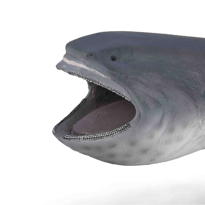 Collecta Tiburón Boca Ancha XL-80046 Animales Marinos Figura Realista +3 Años