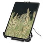 Startech Soporte Seguro para Tablet con Cable de Seguridad y Candado K-Slot para Tablets de 7,9 a 13 Pulgadas