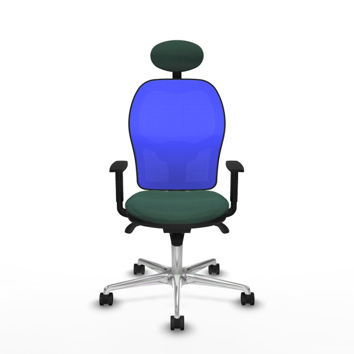 PIQUERAS Y CRESPO Silla de oficina Jorquera con mecanismo Sincro, Tela Verde botella y Malla Azul