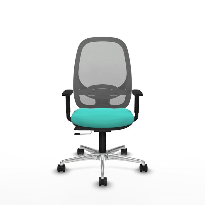 PIQUERAS Y CRESPO Silla de oficina Cilanco con mecanismo Sincro/Traslack, Turquesa y Gris PIQUERAS Y CRESPO Silla de oficina Cilanco con mecanismo Sincro/Traslack, Turquesa y Gris