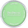 Panpastel 660.8 Óxido de Cromo Verde Tinte