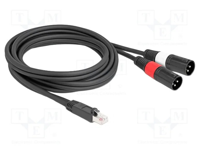 DeLOCK Cable adaptador de audio RJ45 macho a 2 x XLR 3 pin macho, 2 m, Negro DeLOCK Cable adaptador de audio RJ45 macho a 2 x XLR 3 pin macho, 2 m, Negro