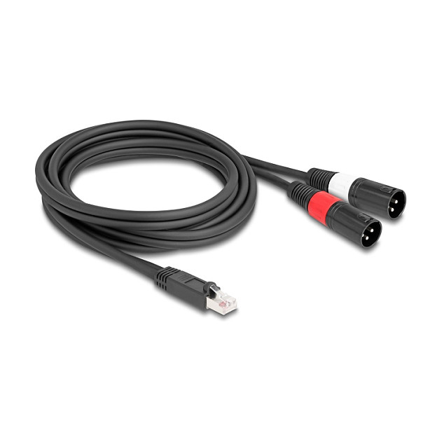 DeLOCK Cable adaptador de audio RJ45 macho a 2 x XLR 3 pin macho, 2 m, Negro DeLOCK Cable adaptador de audio RJ45 macho a 2 x XLR 3 pin macho, 2 m, Negro