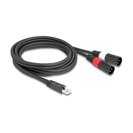 DeLOCK Cable Adaptador RJ45 Macho a 2 x XLR (3 pin) Macho, 2 m, Negro