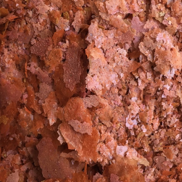 Nayeco AMTRA PRO COLOR FLAKE 250ml Nayeco AMTRA PRO COLOR FLAKE 250ml