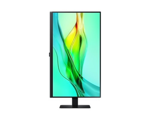 Samsung ViewFinity S6 LS27D600UAUXEN 27 pulg. QHD IPS 100Hz Negro