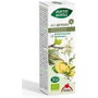 INTERSA MIX ARTISAN 16 Phyto-Biopole