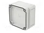 SPELSBERG TK PC Carcasa Universal Gris 94x94x57mm