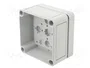 SPELSBERG TK PC Carcasa Universal Gris 94x94x57mm