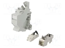 LAPP Conector RJ45 blindado de 8 pines recto para transferencia de datos
