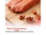 Das Pasta para Modelar Terracota 1 kg