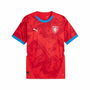 Camiseta de Manga Corta Hombre Puma Repúplica Checa 2024