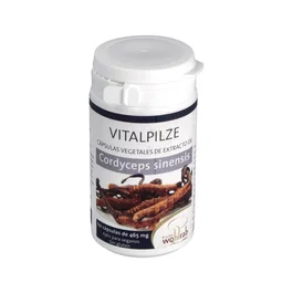 PILZE WOLHRAB Cordyceps Bio 60 Cápsulas con Vitamina C de Acerola