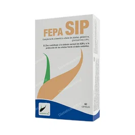FEPADIET Fepa-Sip 60 Cápsulas - Suplemento con L-Glutamina, N-Acetil Glucosamina y Zinc para Síntesis de ADN y Protección Celular